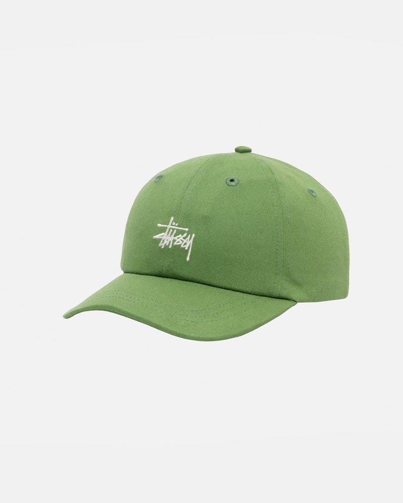 Casquette Stussy Low Pro Basic Stock Strapback Vert | ESO-46061376