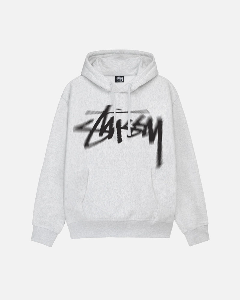 Sweat a Capuche Stussy Dizzy Stock Grise | SRF-09674991