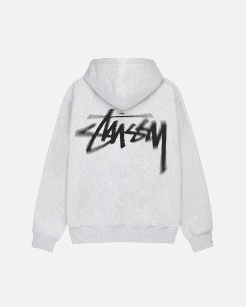 Sweat a Capuche Stussy Dizzy Stock Grise | SRF-09674991