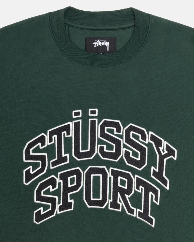 Sweatshirt Stussy Stüssy Sport Relaxed Oversized Crew Vert Foncé | YPB-57325392