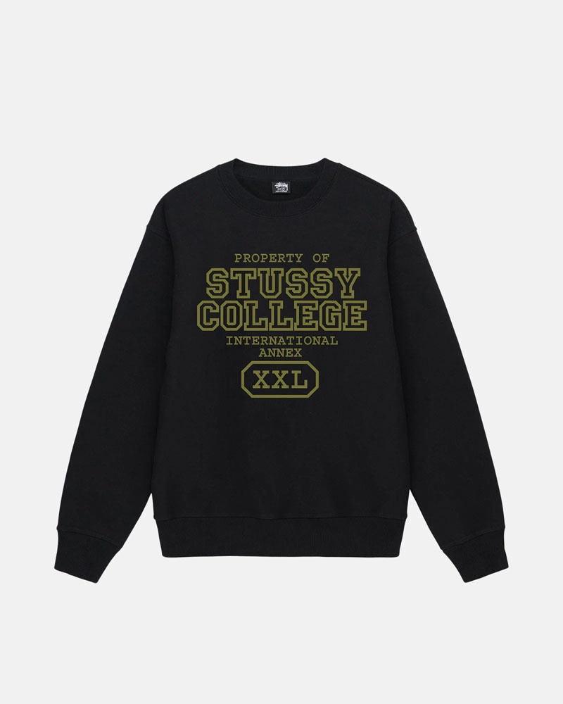 Sweatshirt Stussy Property Of Crew Noir | IZD-78088546