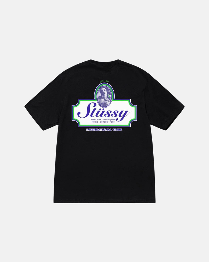 T Shirts Stussy Authentic Noir | PQI-61066035