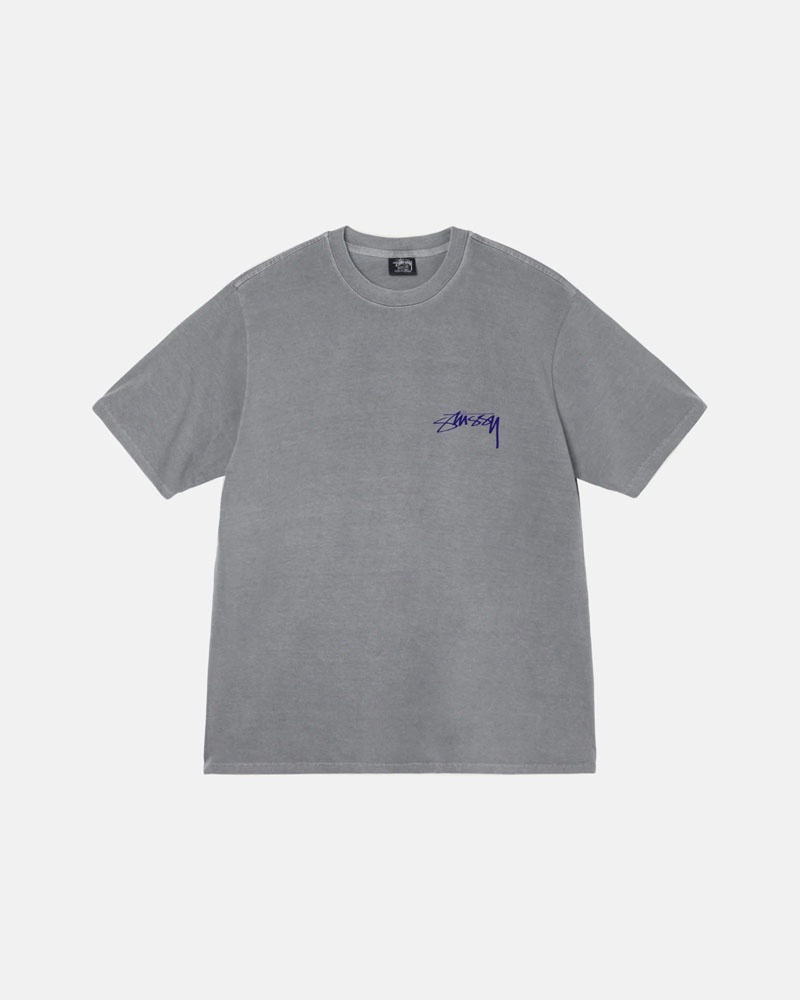 T Shirts Stussy Arachnid Pigment Dyed Grise | WXM-08057035