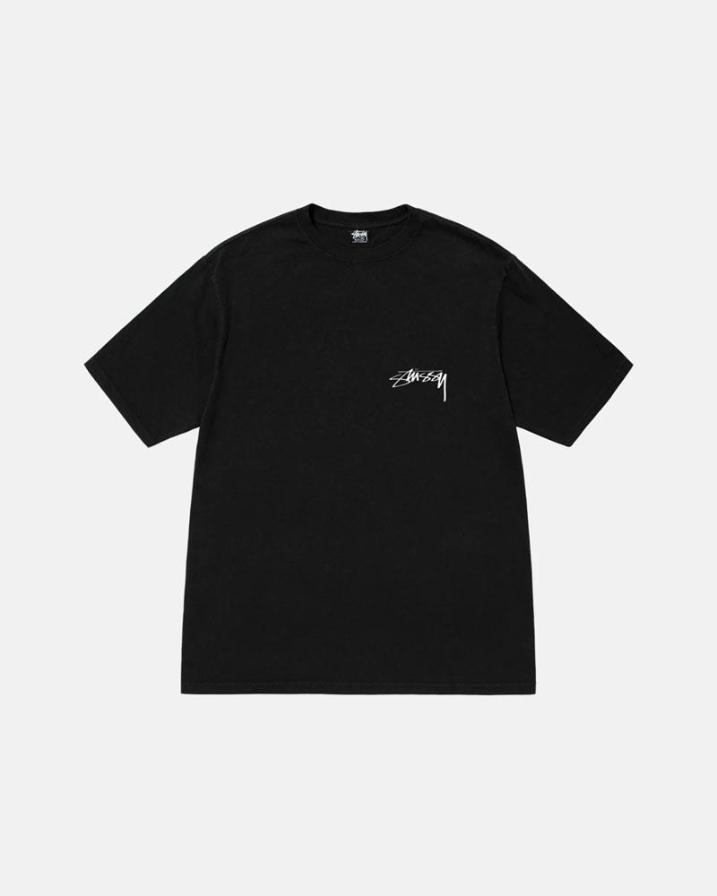 T Shirts Stussy Arachnid Pigment Dyed Noir | WZT-01512029