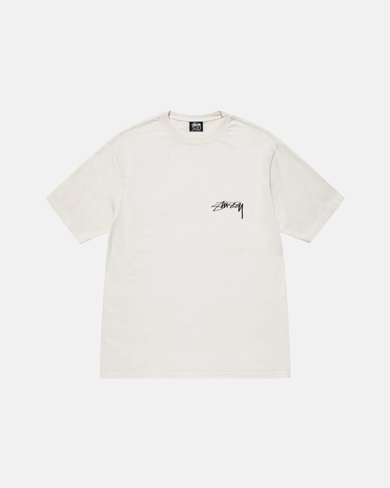 T Shirts Stussy Arachnid Pigment Dyed Blanche | POG-98592479