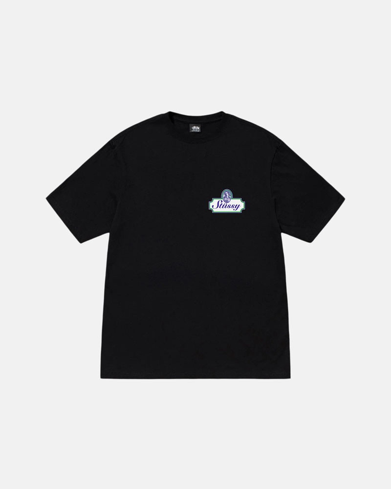 T Shirts Stussy Authentic Noir | PQI-61066035