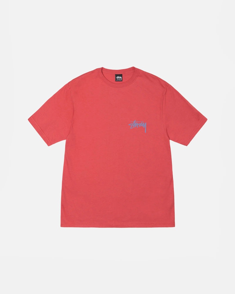 T Shirts Stussy Classroom Rouge | LIY-56870965