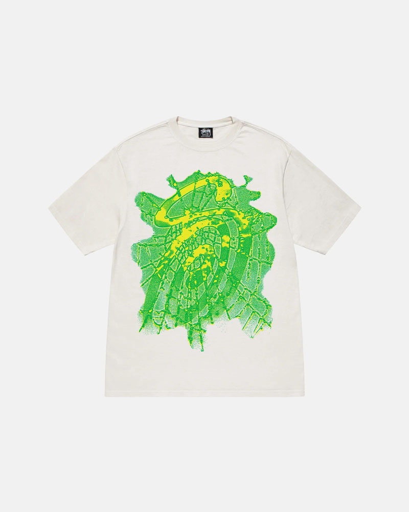 T Shirts Stussy Web Pigment Dyed Blanche | YOM-62840118