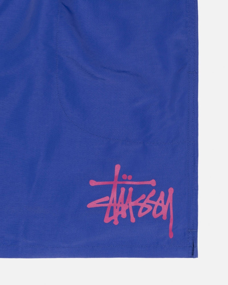 Short Stussy D'eau Corta Big Basic Bleu Royal | MWG-87505068