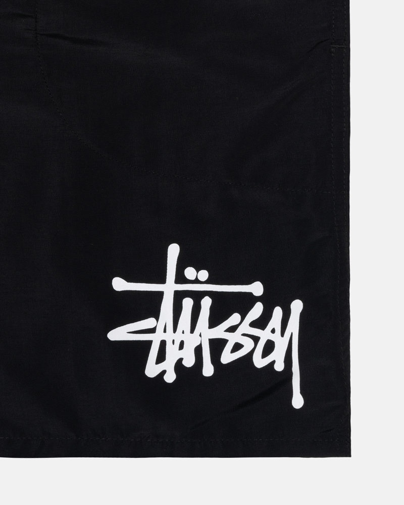 Short Stussy D'eau Corta Big Basic Noir | LIE-42261669