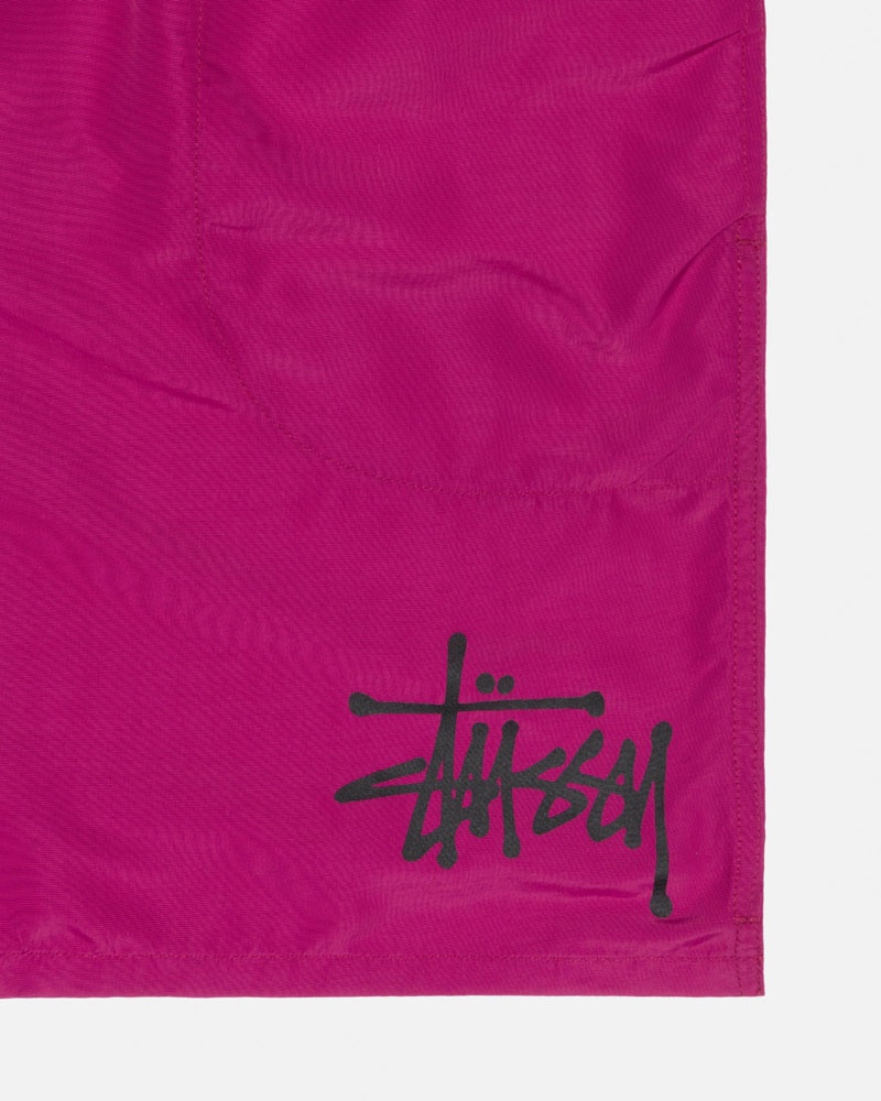 Short Stussy D'eau Corta Big Basic Rose | BOM-24969204